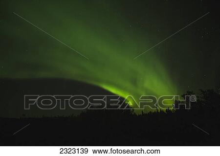 Aurora borealis cutting a swath across the night sky; Alberta canada View Large Photo Image Stock Photo - Aurora borealis cutting a swath across the night sky; Alberta canada. Fotosearch