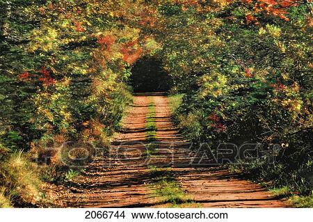 Autumn Leaves Surround Heritage Road, Pei View Large Photo Image Picture - Autumn Leaves Surround Heritage Road, Pei. Fotosearch