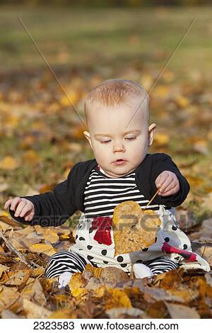 Baby girl playing with the fallen leaves in a park in autumn; Edmonton alberta canada View Large Photo Image Stock Image - Baby girl playing with the fallen leaves in a park in autumn; Edmonton alberta canada. Fotosearch