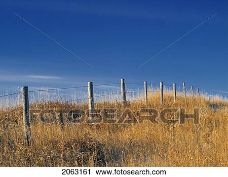 Barbed Wire Fence And Cropland Near Linden, Alberta, Canada View Large Photo Image Stock Image - Barbed Wire Fence And Cropland Near Linden, Alberta, Canada. Fotosearch
