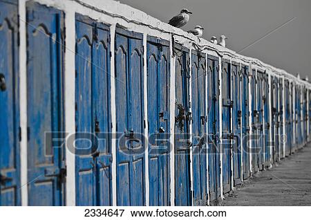 Stock Photo - Birds sit on top of a long wall of weathered blue wooden doors; Essaouira, Morocco. Fotosearch