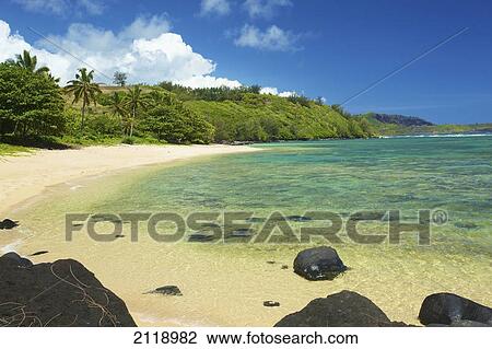 Black Rocks Scattered On A Beach Along The Coastline Of An Hawaiian Island; Pilaa Kauai Hawaii United States Of America View Large Photo Image Stock Image - Black Rocks Scattered On A Beach Along The Coastline Of An Hawaiian Island; Pilaa Kauai Hawaii United States Of America. Fotosearch