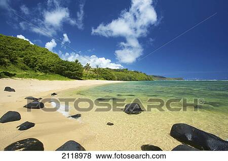 Black Rocks Scattered On A Beach Along The Coastline Of An Hawaiian Island; Pilaa Kauai Hawaii United States Of America View Large Photo Image Stock Photo - Black Rocks Scattered On A Beach Along The Coastline Of An Hawaiian Island; Pilaa Kauai Hawaii United States Of America. Fotosearch