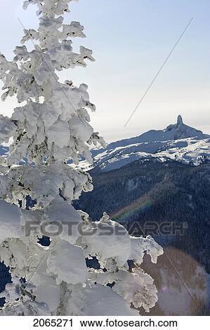 Stock Image - Black Tusk As Seen From Whistler Mountain. Fotosearch