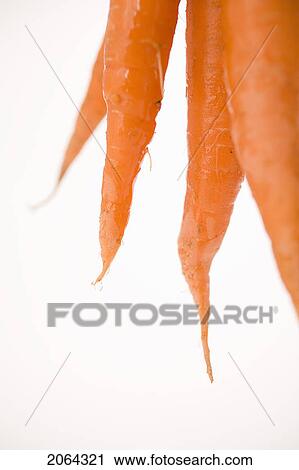 Stock Image - Bottoms Of Carrots. Fotosearch