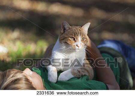 Boy holding his cat; Gimli manitoba canada View Large Photo Image Stock Photograph - Boy holding his cat; Gimli manitoba canada. Fotosearch