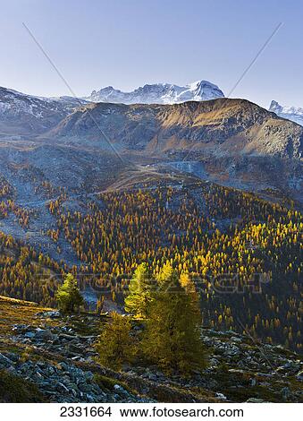 Breithorn and matterhorn glacier paradise; Valais switzerland View Large Photo Image Picture - Breithorn and matterhorn glacier paradise; Valais switzerland. Fotosearch