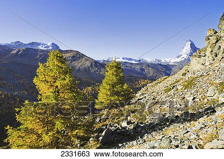 Breithorn and matterhorn matterhorn glacier paradise; Valais switzerland View Large Photo Image Stock Image - Breithorn and matterhorn matterhorn glacier paradise; Valais switzerland. Fotosearch