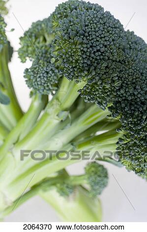 Bunch Of Broccoli View Large Photo Image Stock Image - Bunch Of Broccoli. Fotosearch