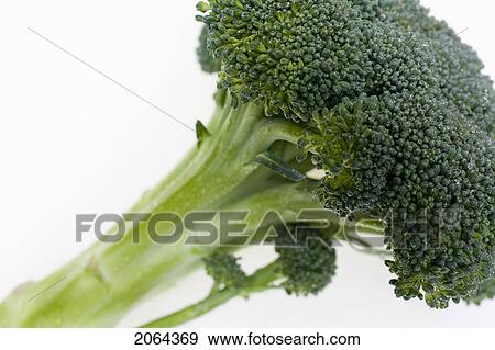 Stock Photo - Bunch Of Broccoli. Fotosearch