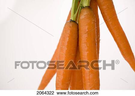 Bunch Of Carrots Hanging Vertically View Large Photo Image Stock Image - Bunch Of Carrots Hanging Vertically. Fotosearch