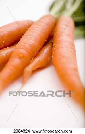 Bunch Of Carrots View Large Photo Image Picture - Bunch Of Carrots. Fotosearch