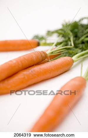 Bunch Of Carrots View Large Photo Image Stock Photo - Bunch Of Carrots. Fotosearch