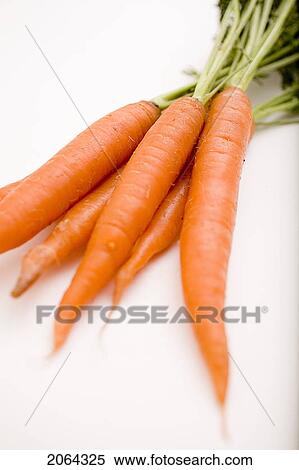 Stock Photography - Bunch Of Carrots. Fotosearch