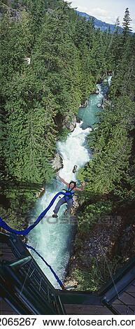 Bungee Jumping, Whistler, Bc, Canada View Large Photo Image Stock Photo - Bungee Jumping, Whistler, Bc, Canada. Fotosearch
