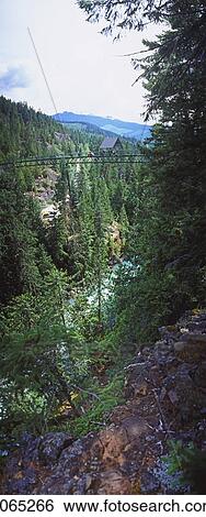 Stock Photograph - Bungee Jumping, Whistler, Bc, Canada. Fotosearch