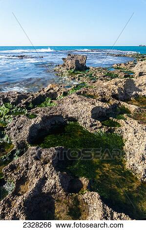 Stock Photograph - Caesarea maritima a national park on the israeli coastline near the town of caesarea; Caesarea israel. Fotosearch