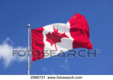 Stock Image - Canadian Maple Leaf - National Flag, Halifax, Nova Scotia. Fotosearch