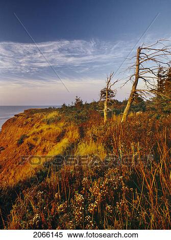 Cape Turner, Prince Edward Island National Park, Pei, Canada View Large Photo Image Stock Photography - Cape Turner, Prince Edward Island National Park, Pei, Canada. Fotosearch