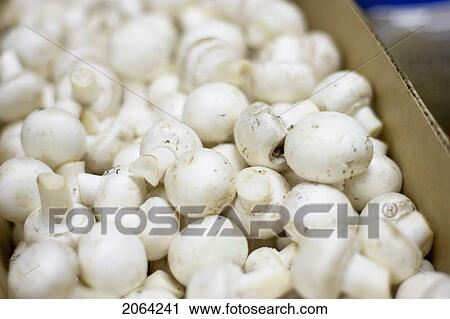 Stock Image - Cardboard Box Full Of White Mushrooms. Fotosearch