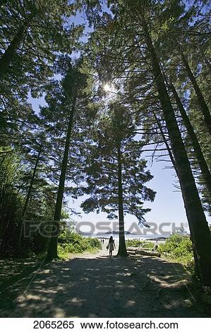 Chesterman Beach, Bc, Canada View Large Photo Image Stock Photography - Chesterman Beach, Bc, Canada. Fotosearch