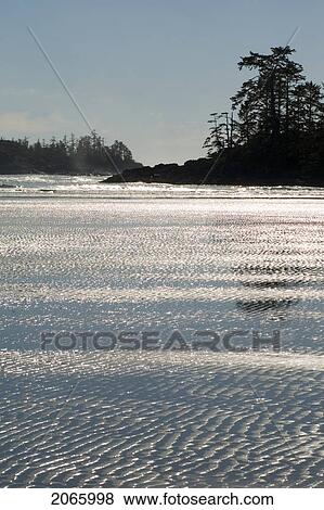 Chesterman Beach, Tofino, Vancouver Island, Bc View Large Photo Image Stock Photo - Chesterman Beach, Tofino, Vancouver Island, Bc. Fotosearch