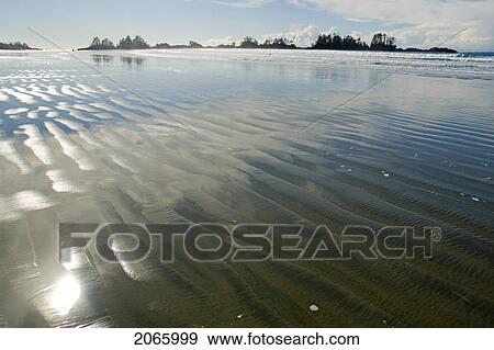 Chesterman Beach, Tofino, Vancouver Island, Bc View Large Photo Image Stock Photo - Chesterman Beach, Tofino, Vancouver Island, Bc. Fotosearch