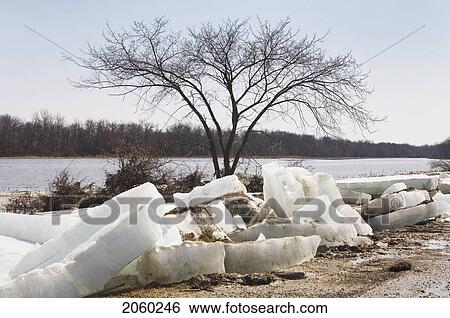Chunks Of Spring Ice On The Red River, Rural Manitoba View Large Photo Image Stock Photograph - Chunks Of Spring Ice On The Red River, Rural Manitoba. Fotosearch