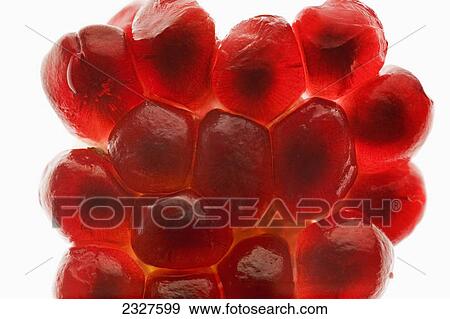 Close up of a grouping of pomegranate seeds backlit; Calgary alberta canada View Large Photo Image Stock Photo - Close up of a grouping of pomegranate seeds backlit; Calgary alberta canada. Fotosearch