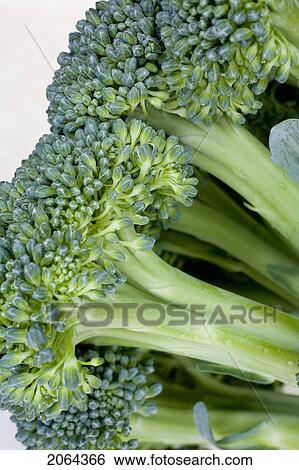 Stock Photograph - Close-Up Of Broccoli. Fotosearch