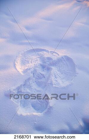 Close Up Of Snow Angel At Sunset With Blue And Pink Highlights Winter Fairbanks Interior Alaska View Large Photo Image Stock Image - Close Up Of Snow Angel At Sunset With Blue And Pink Highlights Winter Fairbanks Interior Alaska. Fotosearch