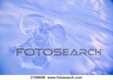 Close Up Of Snow Angel At Sunset With Blue And Pink Highlights Winter Fairbanks Interior Alaska View Large Photo Image Stock Photo - Close Up Of Snow Angel At Sunset With Blue And Pink Highlights Winter Fairbanks Interior Alaska. Fotosearch