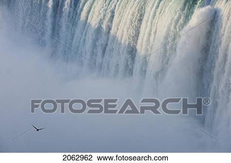 Stock Image - Closeup Of Horseshoe Falls With Gull Flying - Niagara Falls - Ontario Canada. Fotosearch