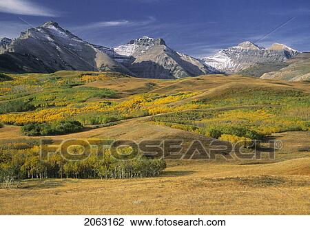Cloudy Ridge Near Waterton Lakes National Park, Alberta, Canada View Large Photo Image Stock Image - Cloudy Ridge Near Waterton Lakes National Park, Alberta, Canada. Fotosearch