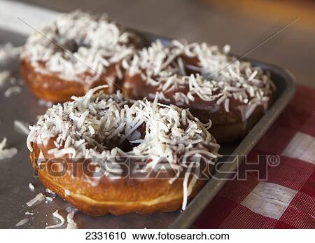 Coconut covered donuts; Puerta vallarta mexico View Large Photo Image Stock Image - Coconut covered donuts; Puerta vallarta mexico. Fotosearch