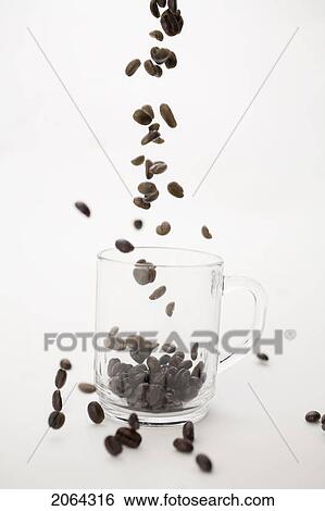 Coffee Beans Falling Into Clear Coffe Cup View Large Photo Image Stock Photograph - Coffee Beans Falling Into Clear Coffe Cup. Fotosearch