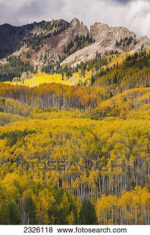 Stock Photo - Colorado, Ohio Pass, Colorful Autumn landscape, Dramatic clouds and mountains in distance.. Fotosearch