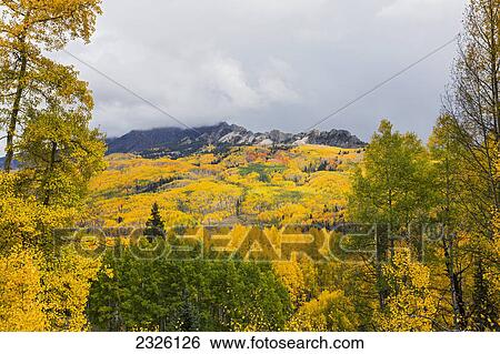 Colorado, Ohio Pass, Colorful Autumn landscape, Mountains in distance. View Large Photo Image Stock Photograph - Colorado, Ohio Pass, Colorful Autumn landscape, Mountains in distance.. Fotosearch