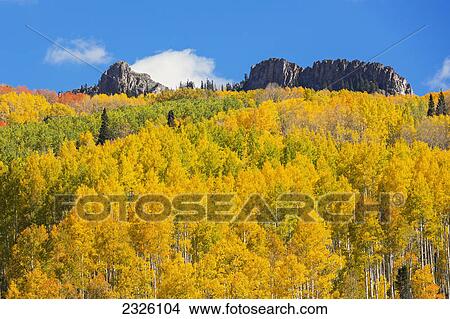 Colorado, Ohio Pass, Yellow Autumn trees, Mountain range and blue sky in distance. View Large Photo Image Picture - Colorado, Ohio Pass, Yellow Autumn trees, Mountain range and blue sky in distance.. Fotosearch