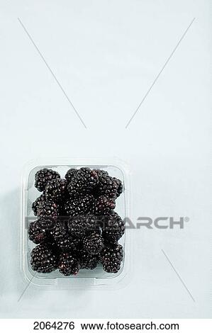 Stock Photograph - Container Of Blackberries From Above. Fotosearch