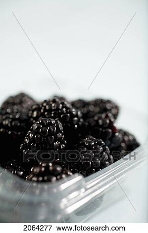 Container Of Blackberries View Large Photo Image Stock Photo - Container Of Blackberries. Fotosearch