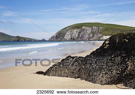 Coumeenole beach in dingle peninsula; County kerry ireland View Large Photo Image Stock Image - Coumeenole beach in dingle peninsula; County kerry ireland. Fotosearch