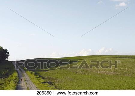Country Laneway In Green Field; Canada, Manitoba, Erickson View Large Photo Image Stock Image - Country Laneway In Green Field; Canada, Manitoba, Erickson. Fotosearch