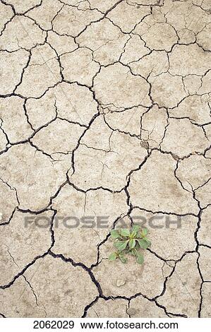 Cracked Earth Near Leader, Saskatchewan, Canada View Large Photo Image Stock Photo - Cracked Earth Near Leader, Saskatchewan, Canada. Fotosearch