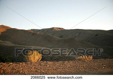 Stock Photography - Desert, Idaho, Usa. Fotosearch
