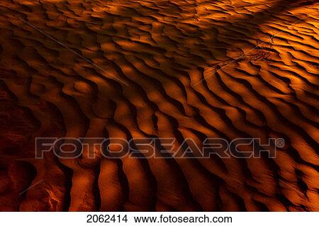 Desert-Like Conditions In The Fragile Ecosystem Of The Great Sand Hills Of Saskatchewan, Canada View Large Photo Image Picture - Desert-Like Conditions In The Fragile Ecosystem Of The Great Sand Hills Of Saskatchewan, Canada. Fotosearch