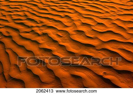 Stock Image - Desert-Like Conditions In The Fragile Ecosystem Of The Great Sand Hills Of Saskatchewan, Canada. Fotosearch