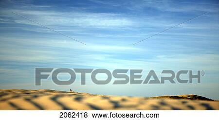 Stock Photo - Desert-Like Conditions In The Fragile Ecosystem Of The Great Sand Hills Of Saskatchewan, Canada. Fotosearch