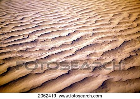 Stock Photo - Desert-Like Conditions In The Fragile Ecosystem Of The Great Sand Hills Of Saskatchewan, Canada. Fotosearch
