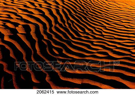 Stock Photography - Desert-Like Conditions In The Fragile Ecosystem Of The Great Sand Hills Of Saskatchewan, Canada. Fotosearch